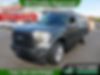 1FTEX1EP1HKE32125-2017-ford-f-150-0
