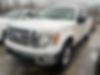 1FTFW1E67BFB17862-2011-ford-f-150-0