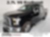 1FTEW1EP9HFB25863-2017-ford-f-150-0