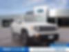 ZACCJABT9GPC54950-2016-jeep-renegade-0