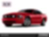 1ZVHT89S195131206-2009-ford-mustang-0