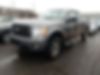 1FTFX1EFXDFC03957-2013-ford-f-150-0