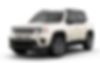 ZACNJDD18MPM50019-2021-jeep-renegade-0