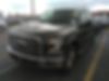1FTEW1CP6FKD71745-2015-ford-f-150-0