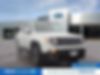 ZACCJABT9GPC54950-2016-jeep-renegade-0