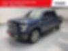 1FTEW1CG1HKC10173-2017-ford-f-150-0