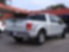 1FTEW1C80GFA38041-2016-ford-f-150-2