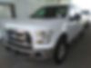 1FTEW1EP8GFD02790-2016-ford-f-150-0