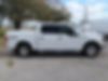 1FTEW1EP5KFA30384-2019-ford-f-150-0