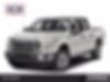 1FTEW1CF2FKD61222-2015-ford-f-150