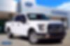 1FTEW1CPXFKD00242-2015-ford-f-150-0