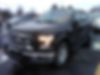 1FTEW1CP1GFB15667-2016-ford-f-150-0
