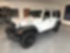 1C4HJWDG0GL203490-2016-jeep-wrangler-unlimited-2