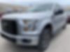 1FTEW1CP8GKF09934-2016-ford-f-150
