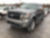 1FTFW1ET9DFD00270-2013-ford-f-150-0