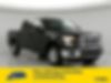 1FTEW1CP6GKF12380-2016-ford-f-150-0