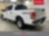 1FTEW1E82HKD46785-2017-ford-f-150-2