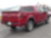1FTFW1ET2DKD04037-2013-ford-f-150-2