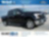 1FTEW1CP8GFD59803-2016-ford-f-150-0