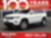 1C4RJEAG5MC595736-2021-jeep-grand-cherokee-0