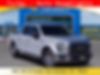 1FTEW1CP2GKF17141-2016-ford-f-150-0