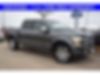1FTEW1EGXHFC02465-2017-ford-f-150-0