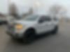 1FTEW1E88FFB03519-2015-ford-other-1