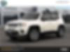 ZACNJDD18MPM50019-2021-jeep-renegade-0