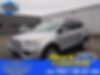 1FMCU0GD9JUD43034-2018-ford-escape-0
