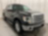 1FTFW1ET3DKG04220-2013-ford-f-150-0