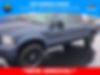 1FTSW21P47EA08484-2007-ford-f-250-0