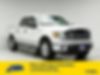 1FTEW1CMXBFC29648-2011-ford-f-150-0