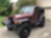 1J4FA49S82P753363-2002-jeep-wrangler-0