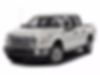 1FTEW1EFXGFB16143-2016-ford-f-150-0